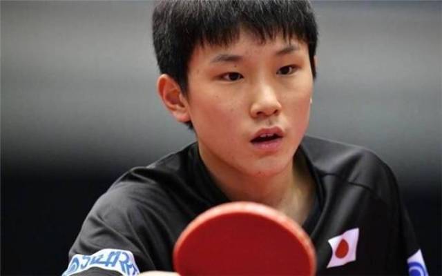 训练效果 训练效果