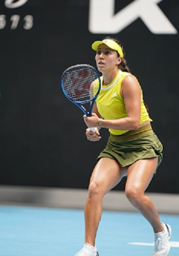 在声明中 在声明中